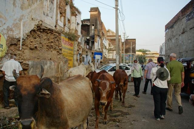 Urlaub in Indien 2016